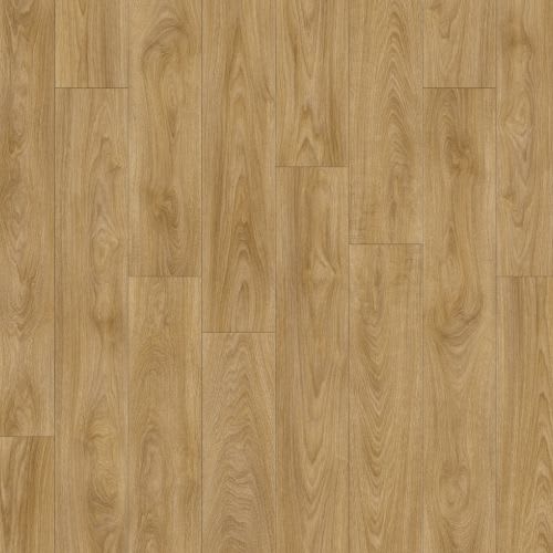 Laurel Oak 51262db