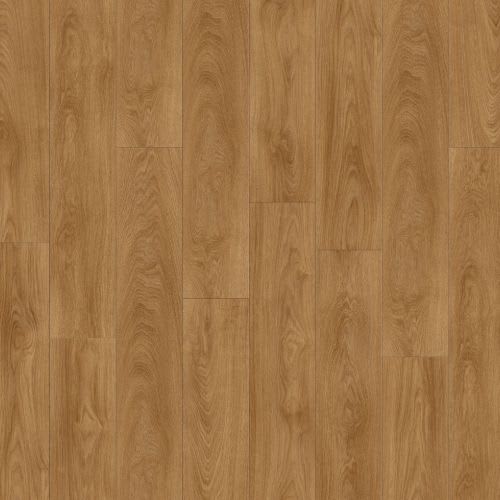 Laurel Oak 51822c