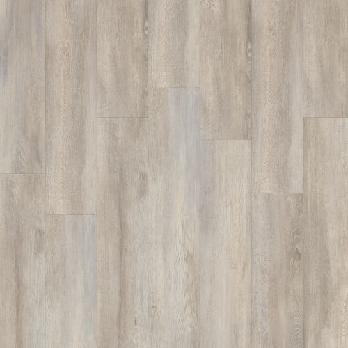 Santa Cruz 59143c