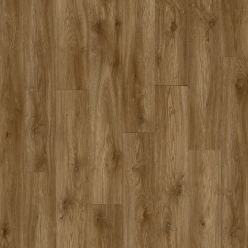 Sierra Oak 58876db