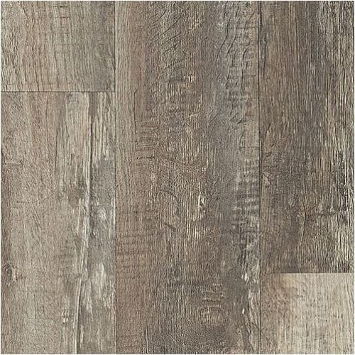 Canyon Oak