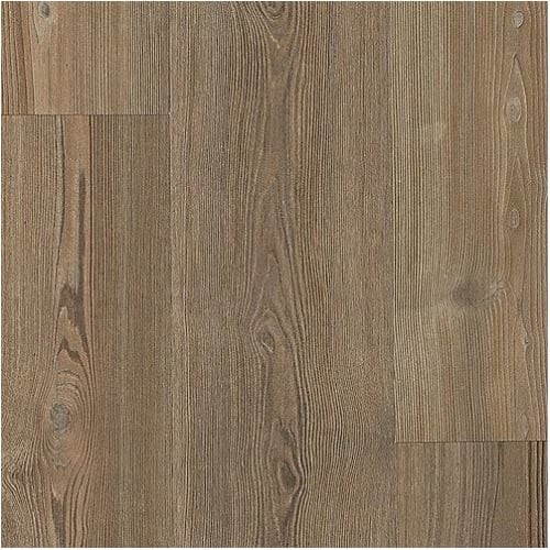 Mochocino Pine