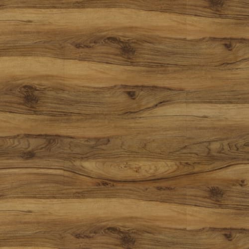 Gold Walnut