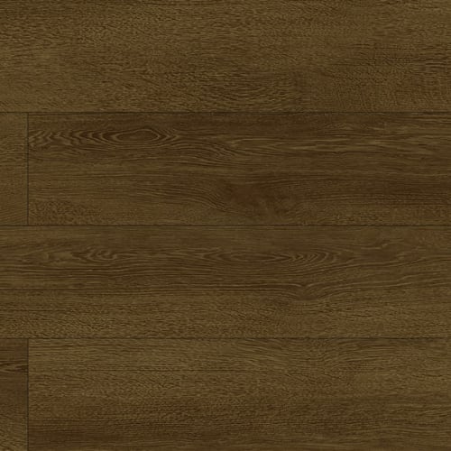 Agusta Brown