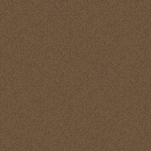 Cocoa Bean