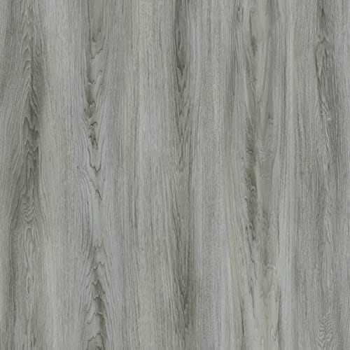 Arctic White