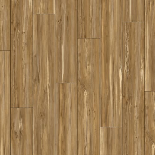 Acacia Natural