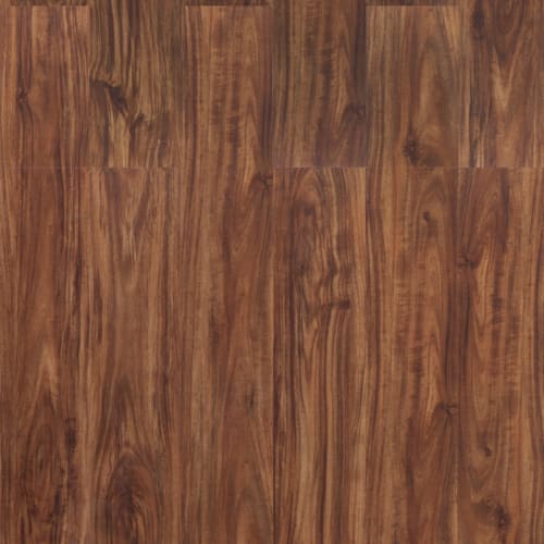Acacia Dark