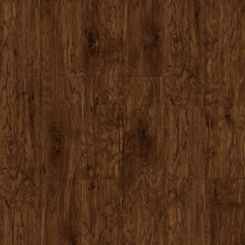 American Hickory
