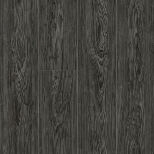 Shadow Grey