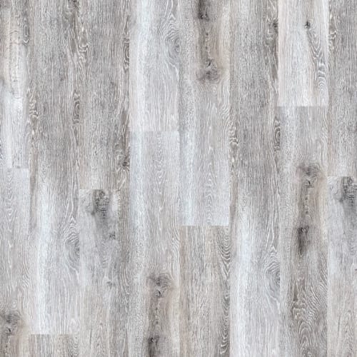 Prosolutions 12 by Chesapeake Flooring - Foghorn