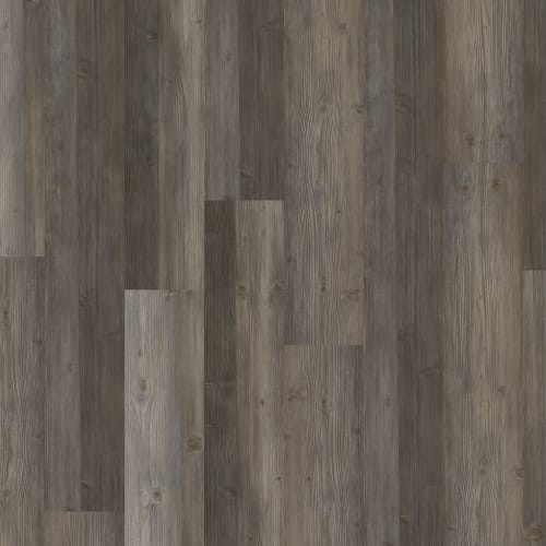 Timber Grove