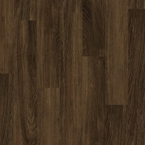 Prosolutions 6 Cloudburst