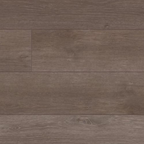 Emersed Oak