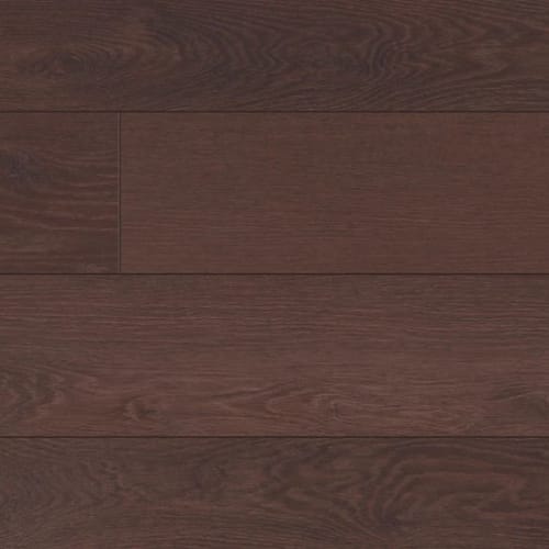 Eloquent Oak