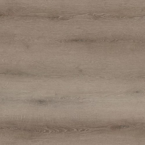 Bambino Collection by Lions Floor - Coffee Feather