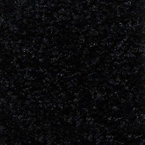 Coal Black