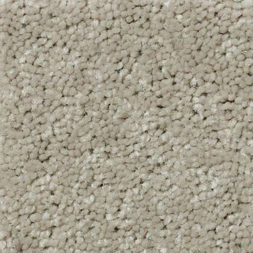 Plaster