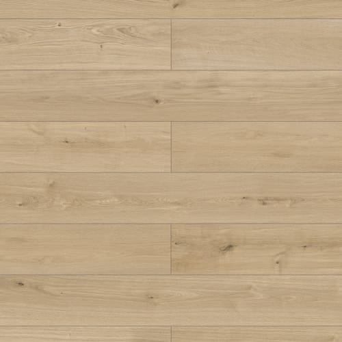 Inhaus Elandura Wood Urban Laminate St Louis Mo Best Flooring