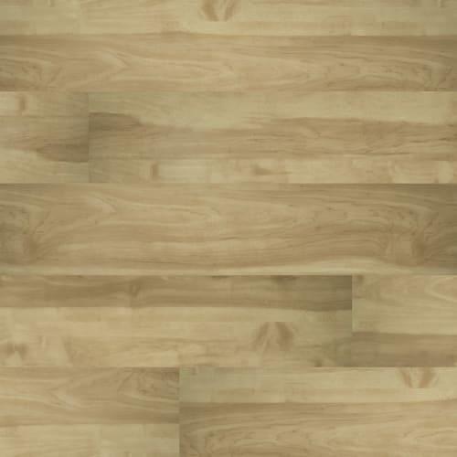 MSI Cyrus Braly Luxury Vinyl Baton Rouge, LA Wholesale Flooring