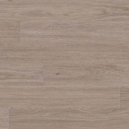 Glenridge by Msi - Bleached Elm