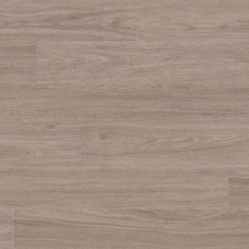 Katavia Bleached Elm