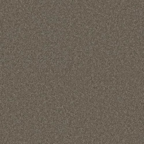 Microban® Polyester - Amarillo by Phenix Carpet - Prairie