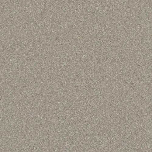 Microban® Polyester - Cashmere by Phenix Carpet - Chiffon