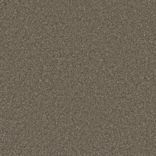 Microban® Polyester - Cashmere by Phenix Carpet - Demask