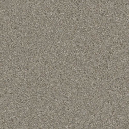 Microban® Polyester - Cashmere by Phenix Carpet - Pashmina