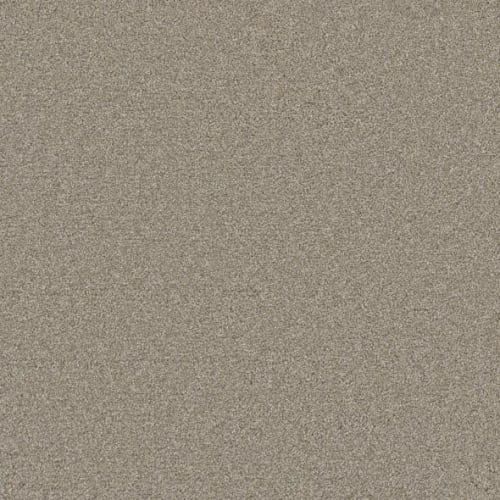 Microban® Polyester - Cashmere by Phenix Carpet