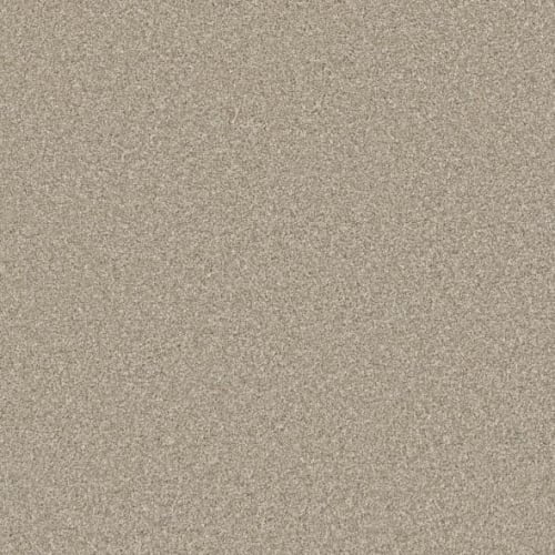 Microban® Polyester - Cashmere by Phenix Carpet - Silk