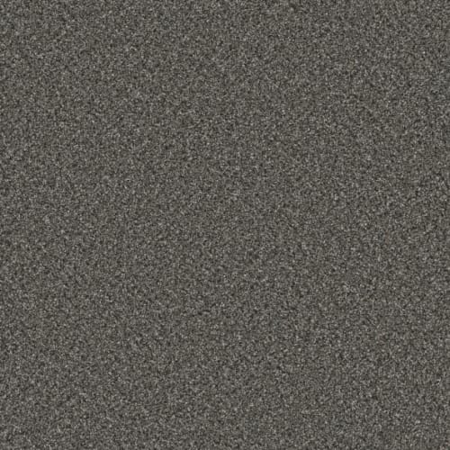 Microban® Polyester - Cashmere by Phenix Carpet - Suede