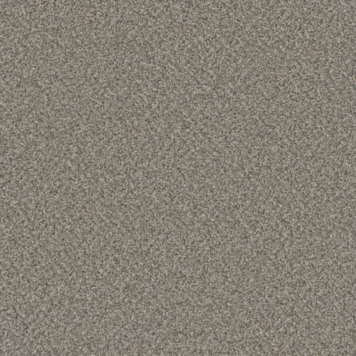 Microban® Polyester - Cashmere by Phenix Carpet - Tulle