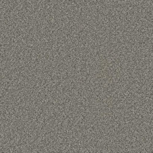 Microban® Polyester - Cashmere by Phenix Carpet - Tweed