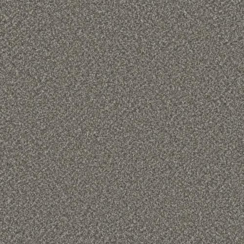 Microban® Polyester - Cashmere by Phenix Carpet - Velvet