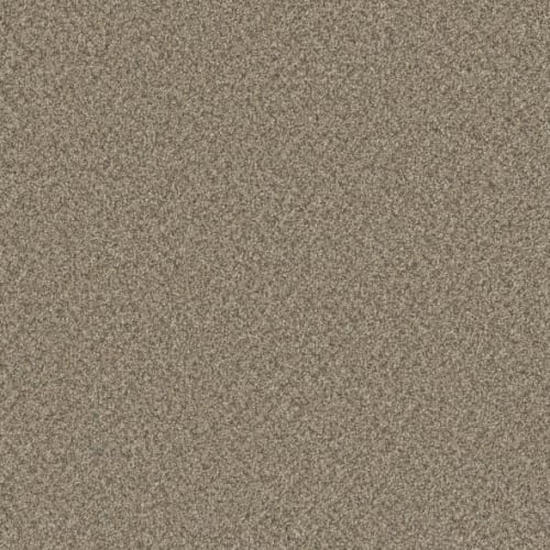 Microban® Polyester - Cashmere by Phenix Carpet - Viscose