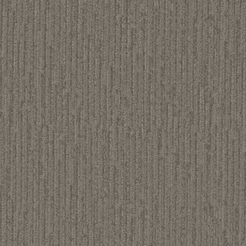 Microban® Polyester - Medley by Phenix Carpet