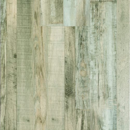 Xpr - Parkay Timber+ by Parkay Floors - Santa Monica Shores