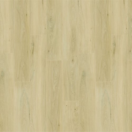 Timberland Live Oak By Doma Orange Tx Odiles Fine Flooring Design