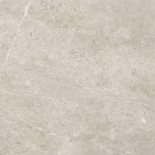 Premier Marble by Florida Tile