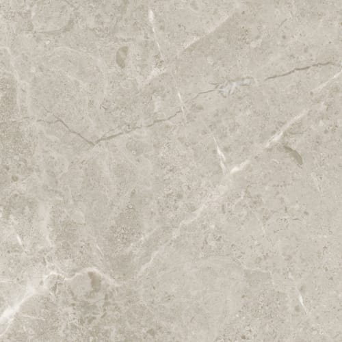 Premier Marble by Florida Tile - Argento Honed 12X24