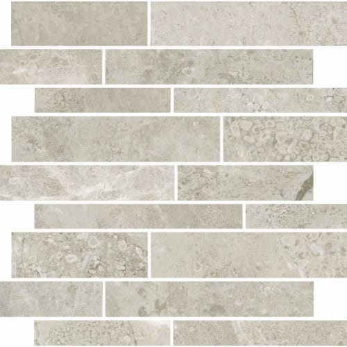 Premier Marble by Florida Tile - Argento Polished Rsp12