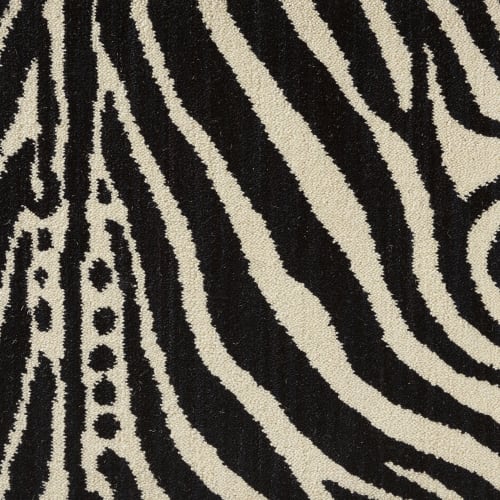 Wild Zebra - Ivory