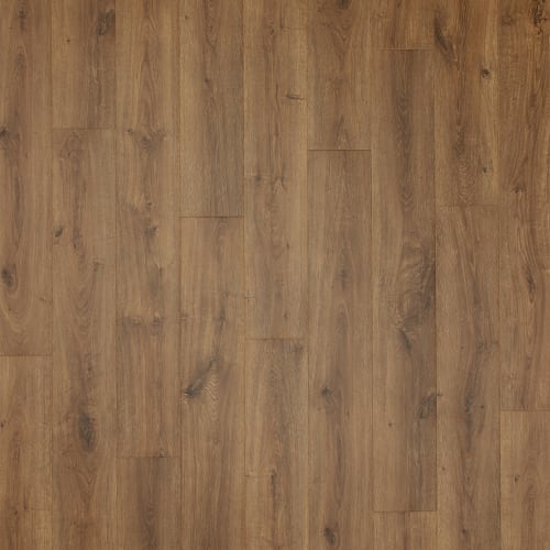 Russet Oak