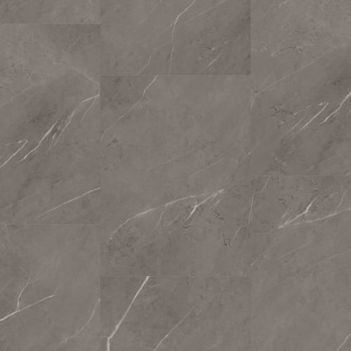 Tile With Igt Collection by Trucor - Pietra Gray