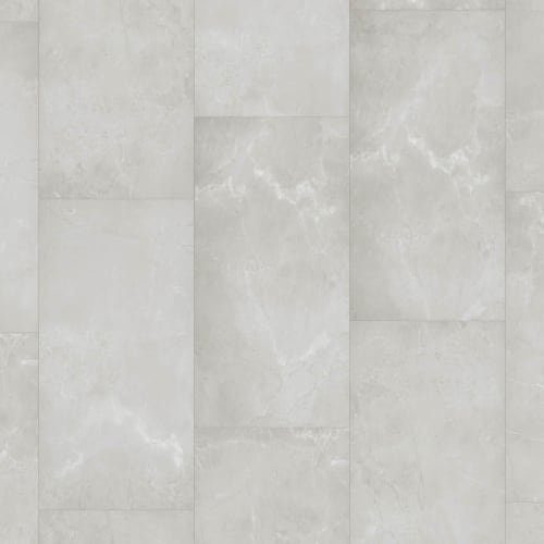 Tile With Igt Collection by Trucor - Emperador Ghost