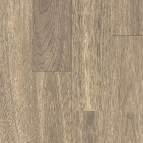 Applause Collection by Trucor - Stony Oak