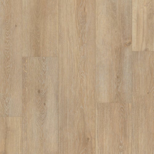 Prime Xxl Collection by Trucor - Bristol Oak