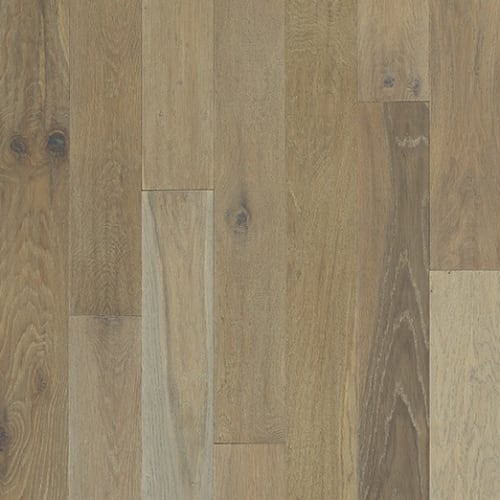 Shasta Oak